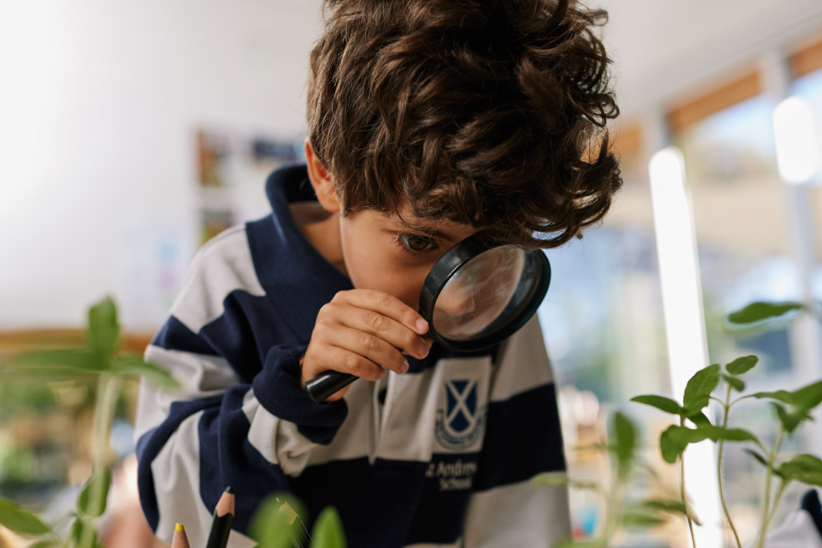 We exist to nurture greatness in every child.